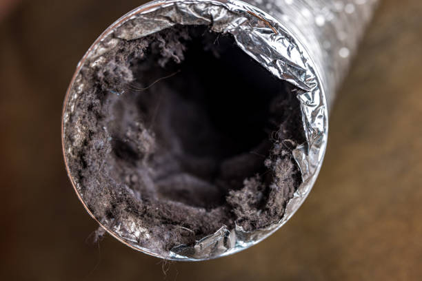 Best Air Duct Cleaning Company Near Me  in Vley, AL