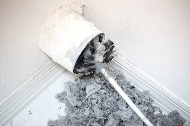 Best Dryer Vent Cleaning Services  in Vley, AL